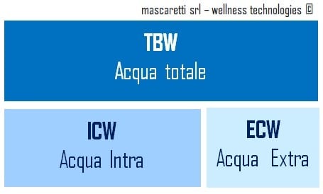 Fluidi corporei e angolo di fase: variazione e possibile interpretazione